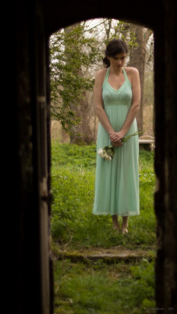 örsten, fleur bleue